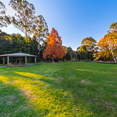 Tasmanian Arboretum - 6