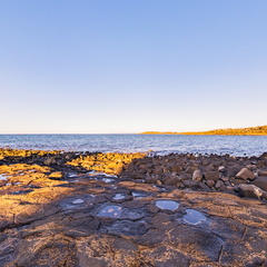 Don Heads - Columnar Basalt I