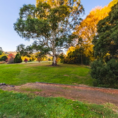 Tasmanian Arboretum - 7