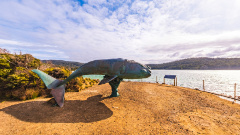 Adams Point Whale Lookout