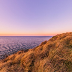 Don Heads - Last Light Lookout