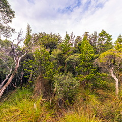 Winterbrook falls – Walk
