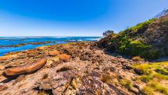 Trial Harbour - Rocky Foreshore