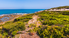 Musselroe Bay - Above the Quiet