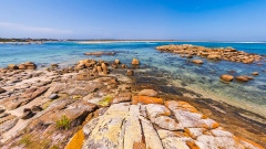 Musselroe Bay - Where Warmth Holds