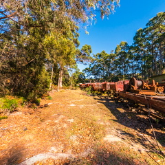 Don River Railway Heritage Depot - Where the Rails Whisper