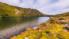Ladies Tarn