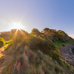 Don Heads - Track Entrance