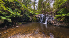 Lilydale Falls - Upper Waterfall