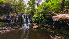 Lilydale Falls - Lower Waterfall