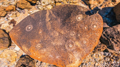 Trial Harbour - Aboriginal Rock Carvings