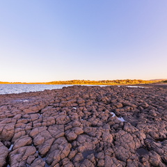 Don Heads - Fractured Basalt Field