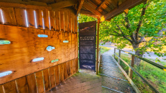 Tasmanian Arboretum - Platypus Observatory & Bird Hide