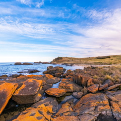 Spiky Beach - Where Rocks Glow