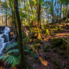 Upper Cam Falls - 2