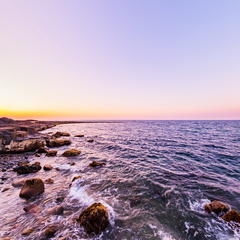 Don Heads - Tide Edge