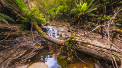 Westmorland Falls - Hidden Upper Cascade