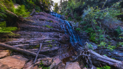 Westmorland Falls - Fossil Rock Cascade