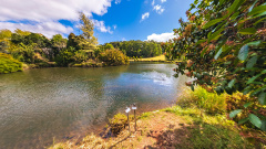 Tasmanian Arboretum - Platypus Paradise
