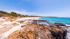 Little Musselroe Bay - Shoreline of Heaven