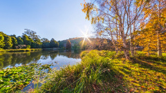 Tasmanian Arboretum - Pond of Light