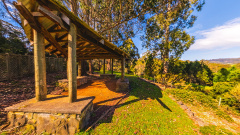Tasmanian Arboretum - The Quiet Shelter