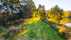 Tasmanian Arboretum - Platypus Road