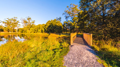 Tasmanian Arboretum - Stillwater Crossing