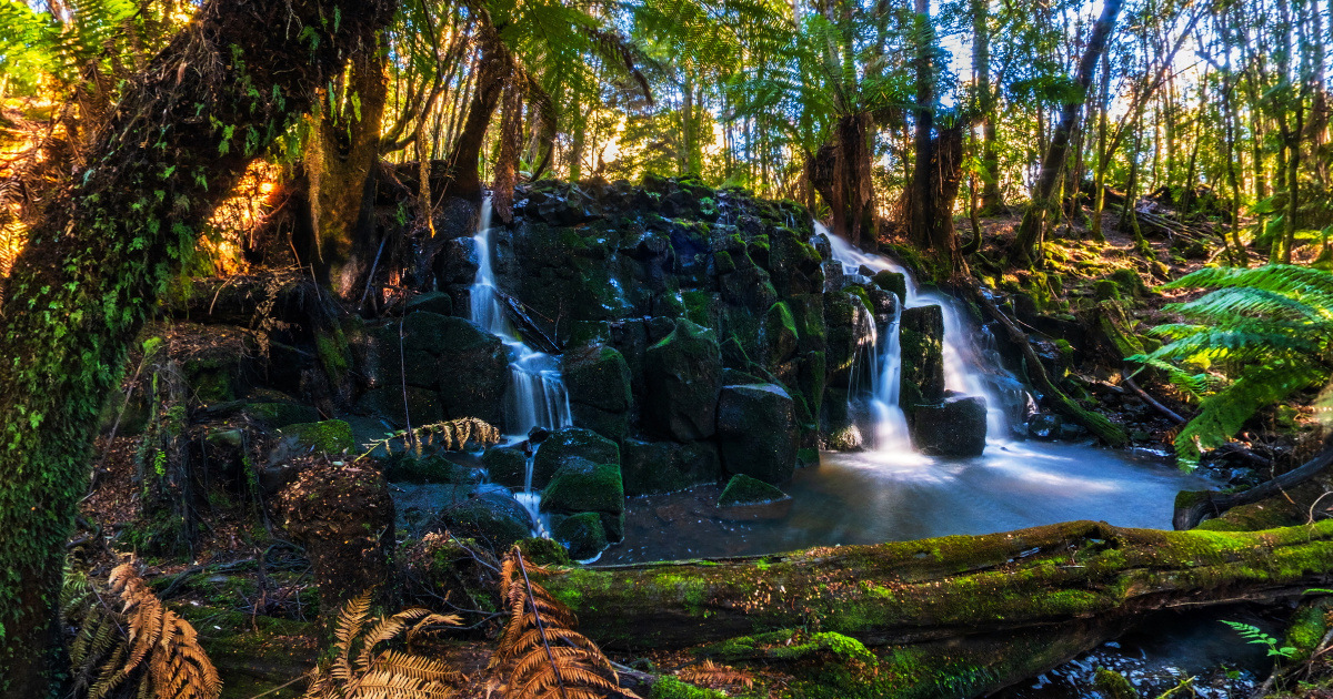 Panoramic view of Waterfalls, Tasmania