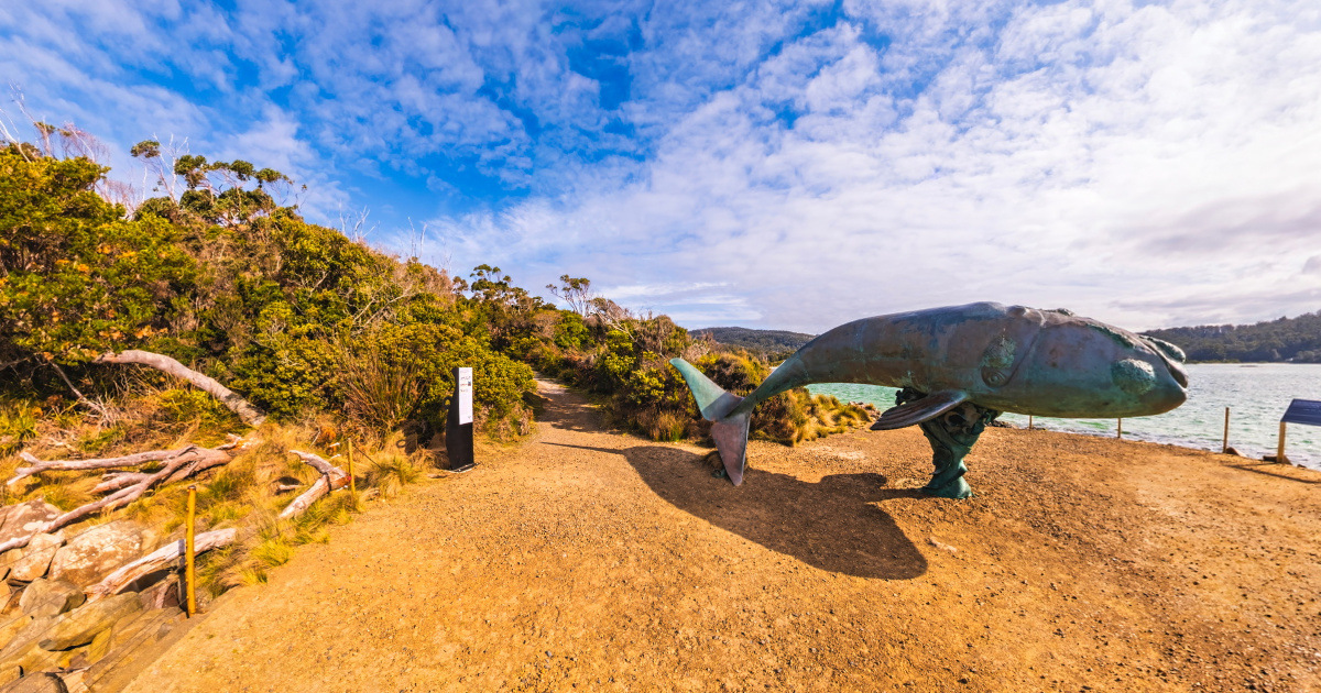 Panoramic view of Adams Point Whale Lookout, Tasmania