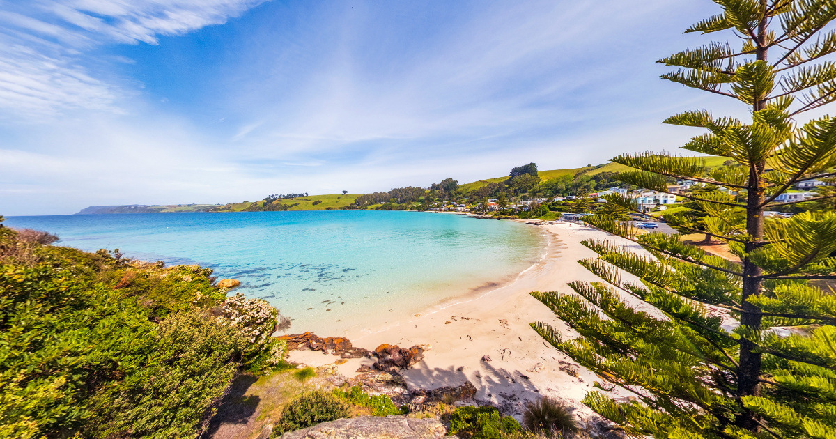 Panoramic view of Boat Harbor Beach, Tasmania