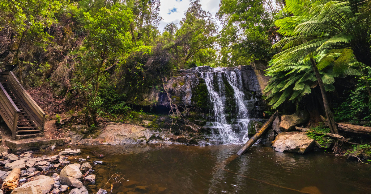 Panoramic view of Lilydale Falls, Tasmania