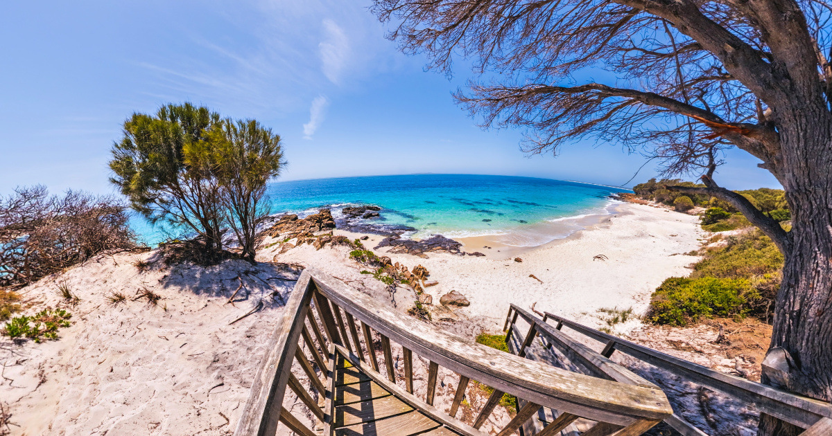 Panoramic view of Little Musselroe Bay, Tasmania