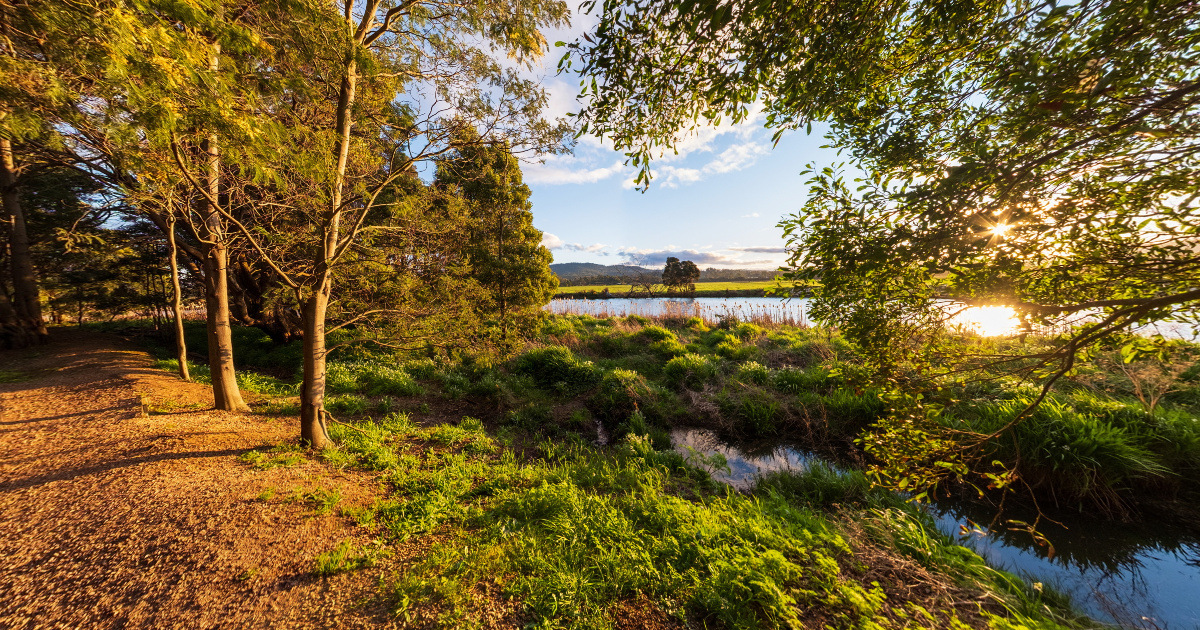 Panoramic view of Pig Island Walk, Tasmania