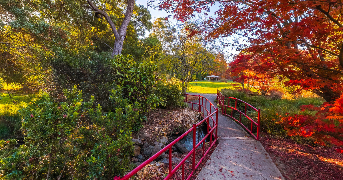 Panoramic view of Tasmanian Arboretum, Tasmania