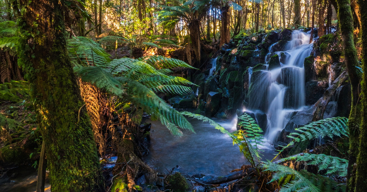 Panoramic view of Upper Cam Falls, Tasmania