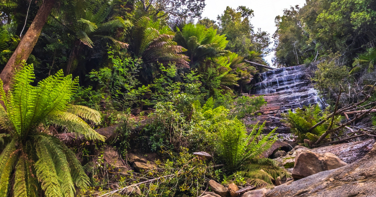 Panoramic view of Westmorland Falls, Tasmania